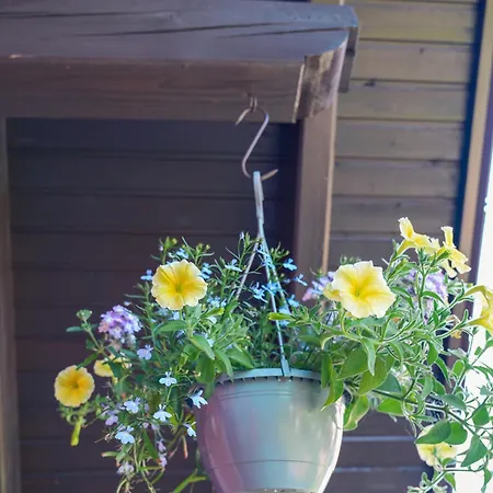 Bed & Breakfast Eger